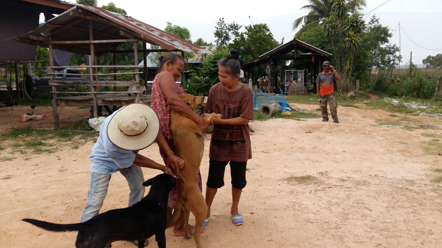 ประชาสัมพันธ์แผนการออกฉีดวัคซีนพิษสุนัขบ้าประจำปี 2568